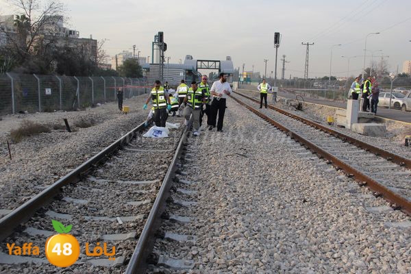 dahs lud 01121 (9).JPG